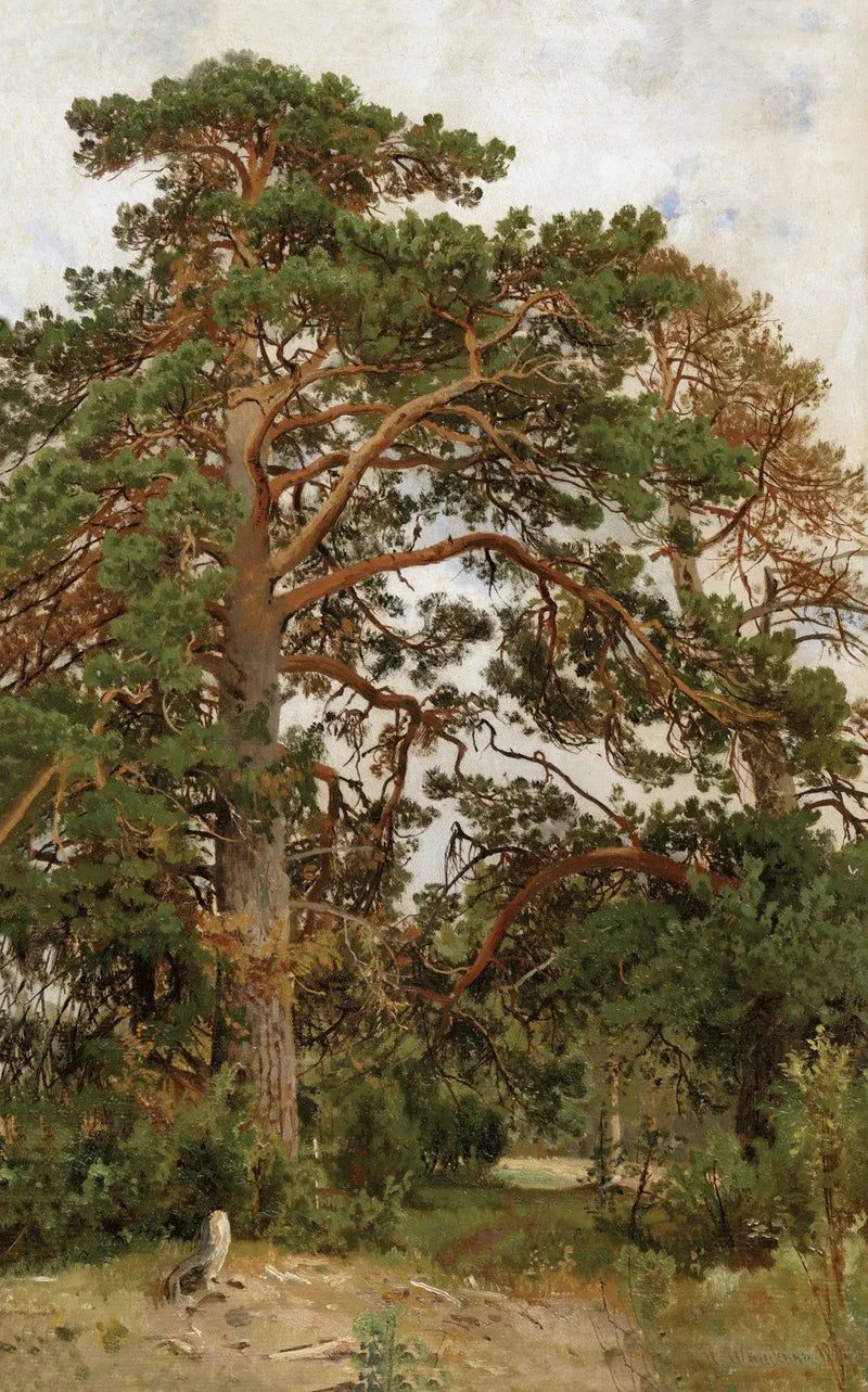 Landschaft mit Kiefern - Ivan Chichkine