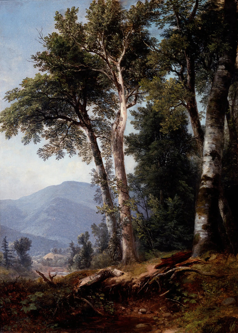 Landschaft mit Bäumen - Asher Brown Durand