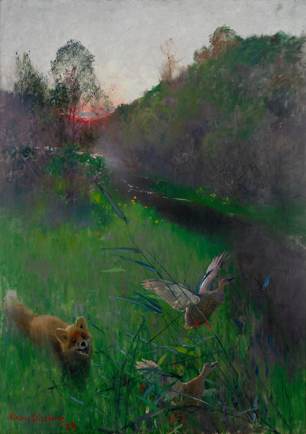 Paysage d'après-midi avec renard et oiseaux marins - Bruno Liljefors image 1 reproduction artisanale de tableau