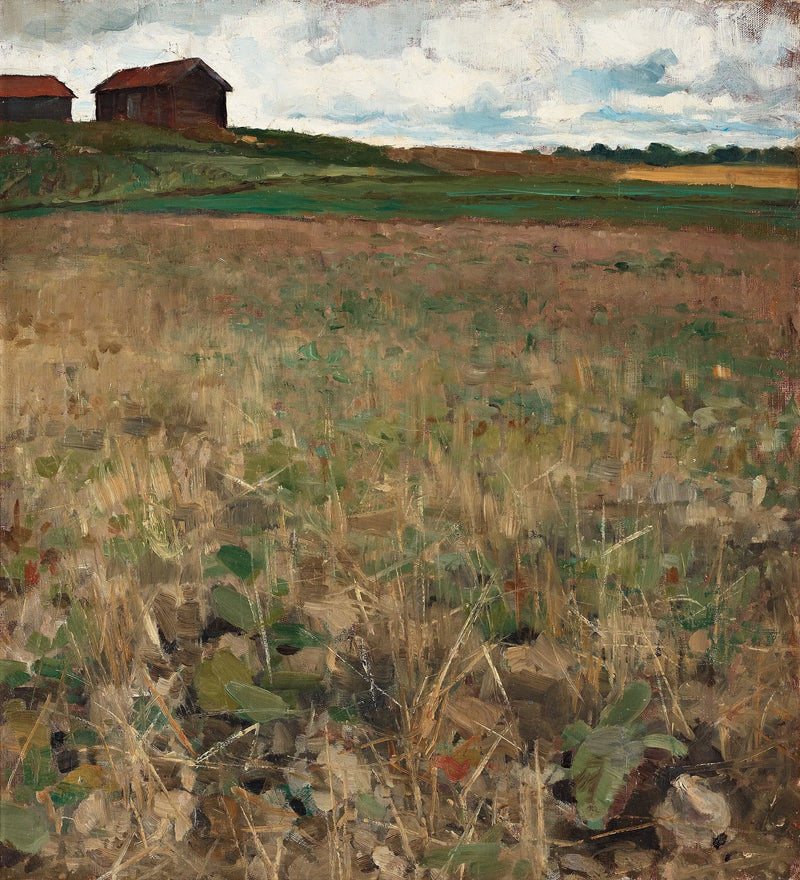 Landschaft von Kvarnbo, Uppland - Bruno Liljefors