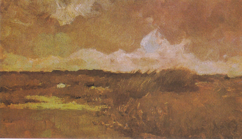 Sumpflandschaft - Vincent van Gogh