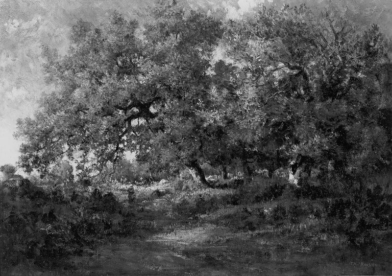 Paysage - Théodore Rousseau