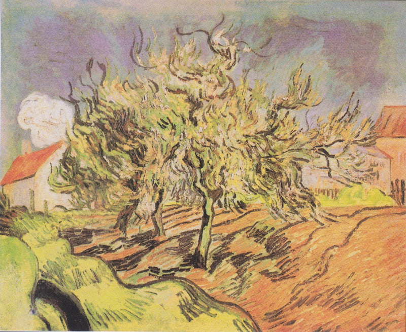 Landschaft mit drei Bäumen und Häusern - Vincent van Gogh
