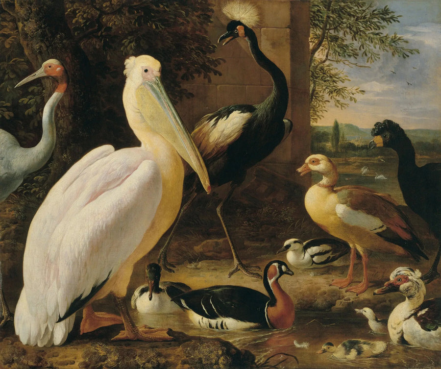 Pelikan, gekrönter Kranich, Hocco, Antigone-Kranich und Enten in einer Flusslandschaft - Melchior de Hondecoeter