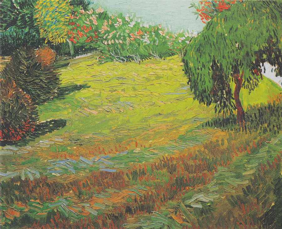 Sonniger Rasen in einem öffentlichen Park - Vincent van Gogh