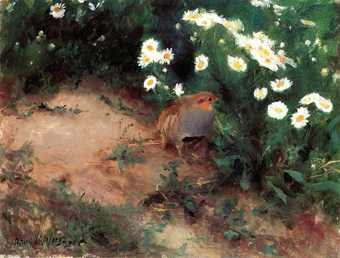 Perdrix avec des marguerites - Bruno Liljefors image 1 reproduction de peinture à l’huile