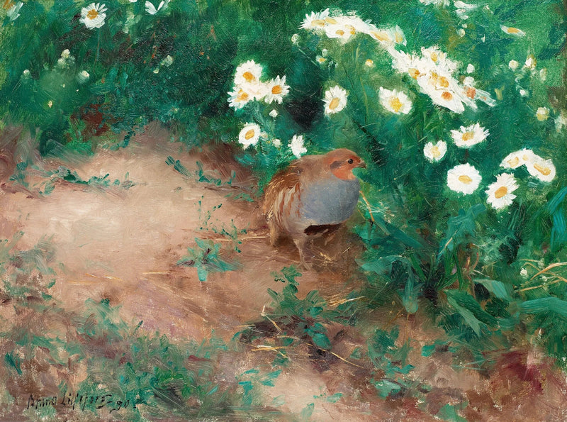 Rebhuhn mit Gänseblümchen - Bruno Liljefors