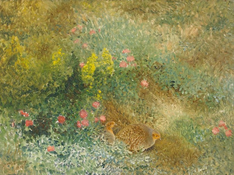 Graues Rebhuhn - Bruno Liljefors