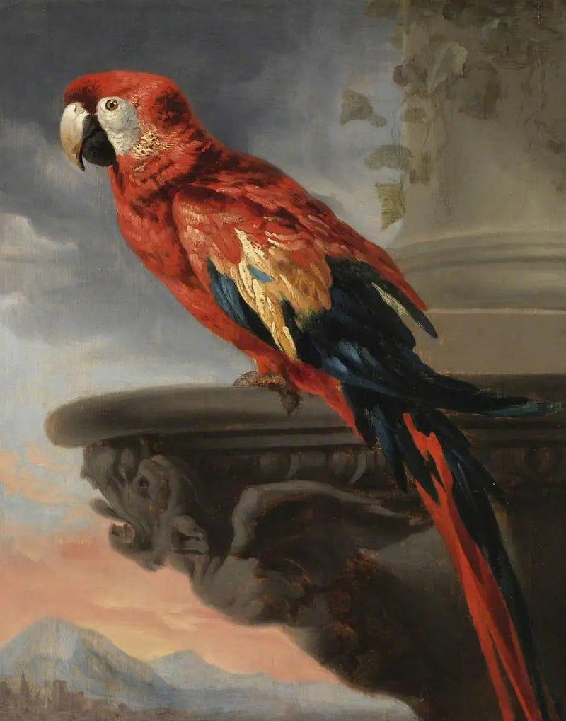 Papagei - Peter Paul Rubens