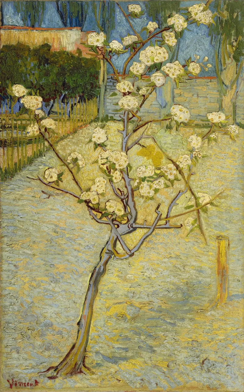 Kleine blühende Birne - Vincent van Gogh