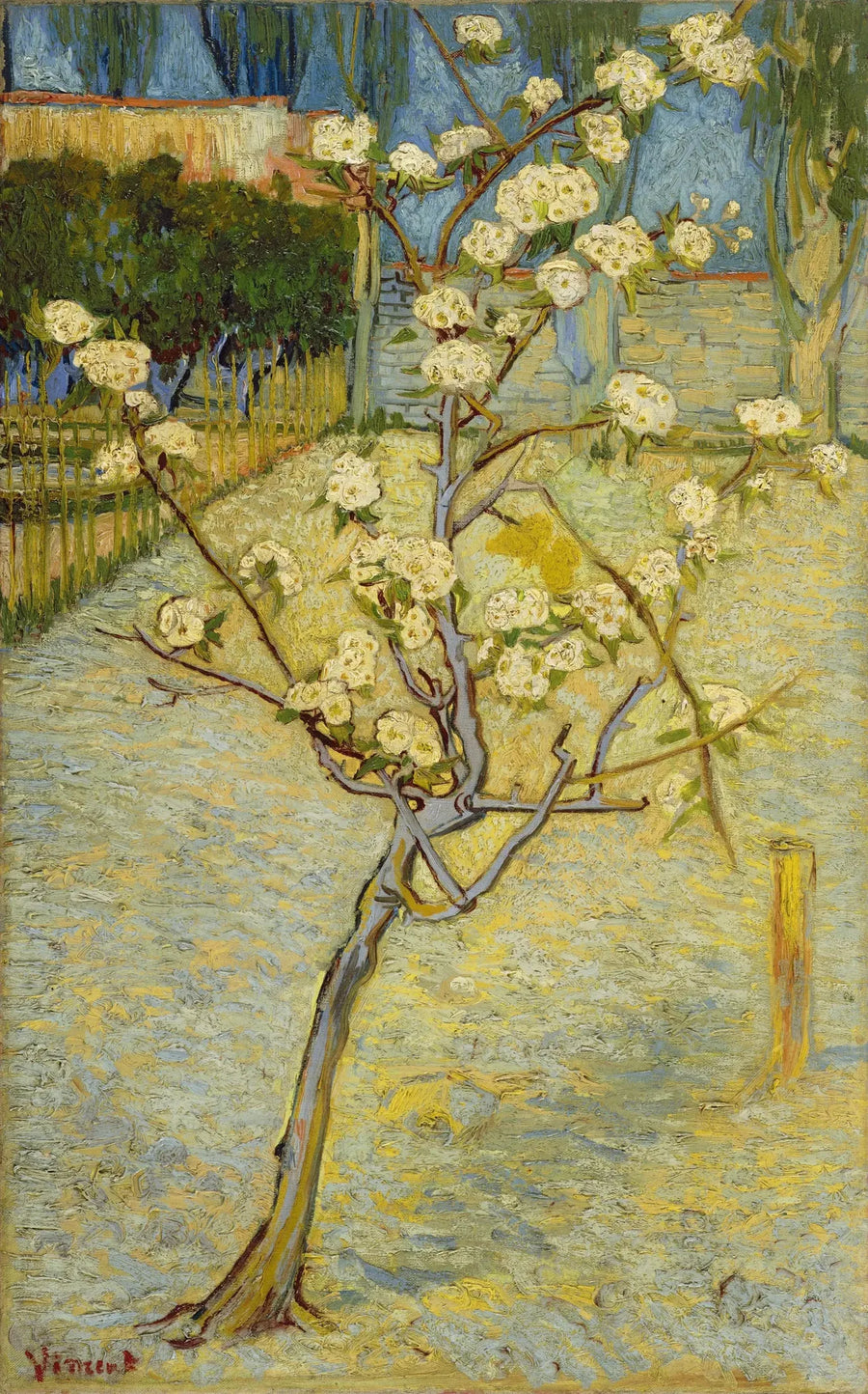 Kleine blühende Birne - Vincent van Gogh