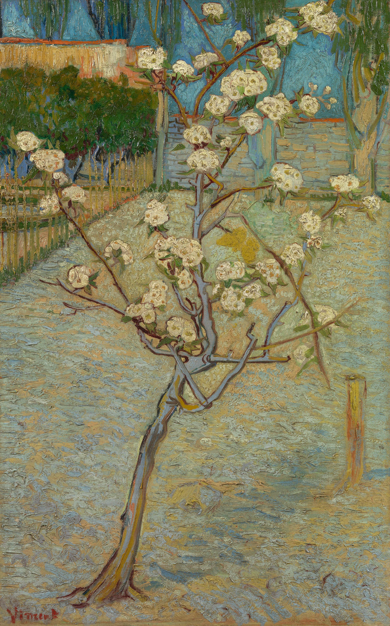 Kleine blühende Birne - Vincent van Gogh