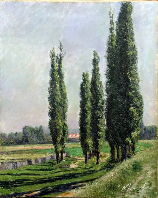 Peupliers au bord de la rivière à Argenteuil - Caillebotte - Reproductions de tableaux et peintures haut de gamme