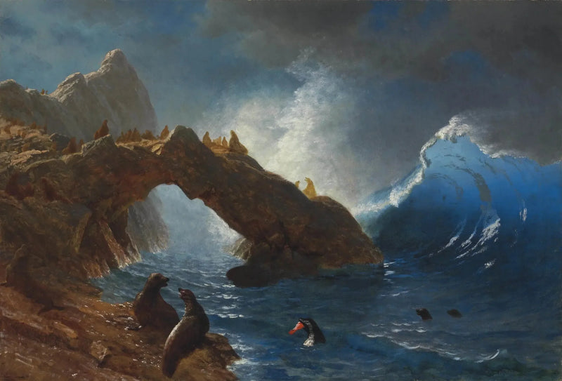 Seelöwen auf den Felsen - Albert Bierstadt