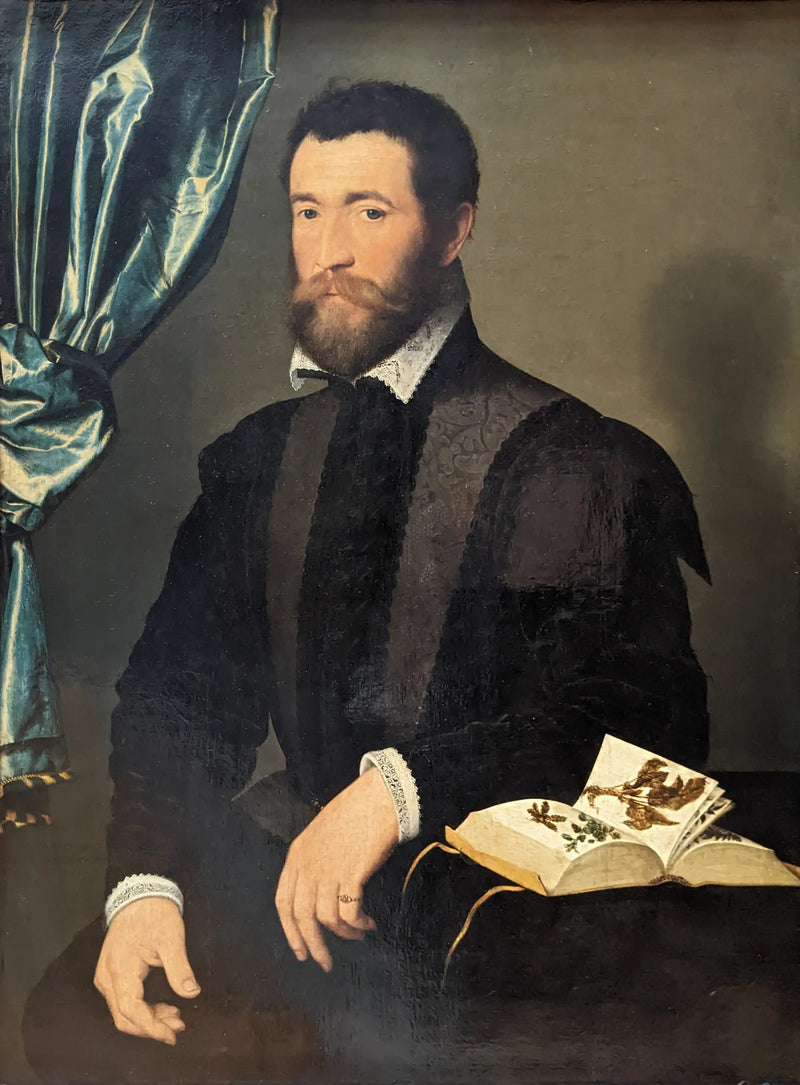 Pierre Quthe, Apotheker - François Clouet
