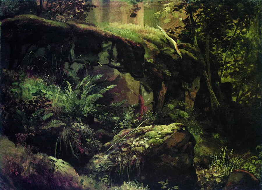 Steine im Wald. Valaam - Ivan Chichkine