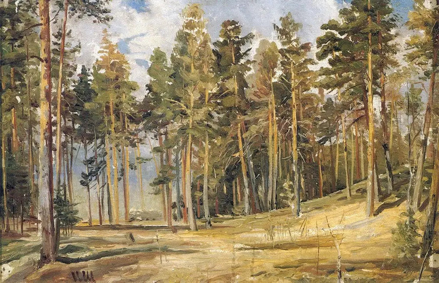 Pins. Sonniger Tag - Ivan Chichkine