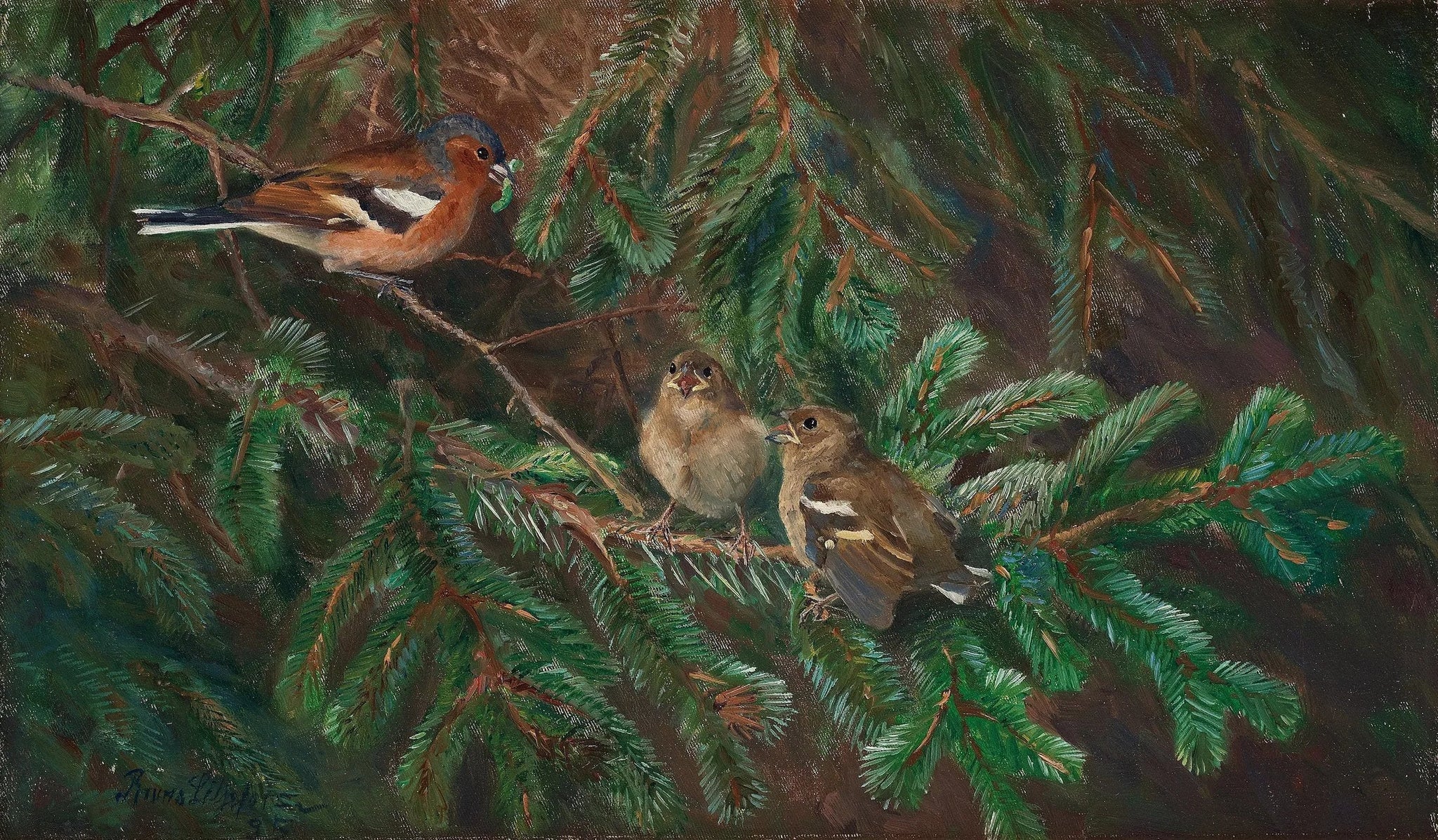 Pinson des arbres mâle nourrissant ses poussins - Bruno Liljefors image 1 copie de tableau peinte à la main