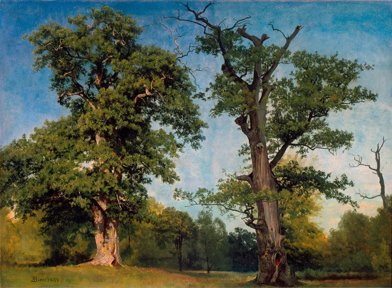 Pionniers des bois, Kalifornien - Albert Bierstadt