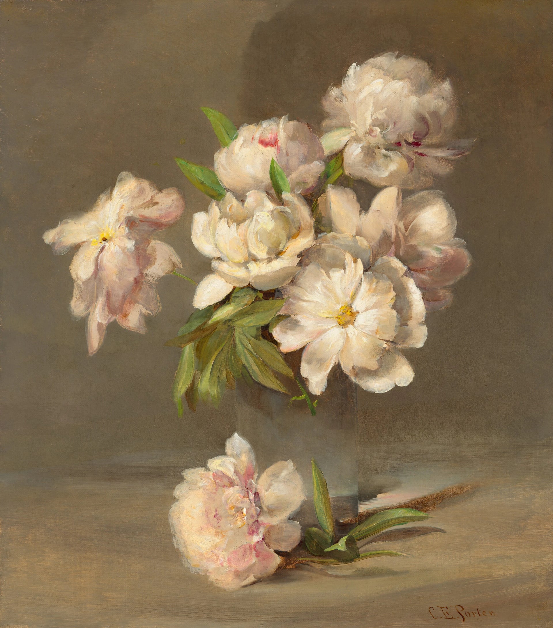 Pivoines dans un vase - Charles Ethan Porter