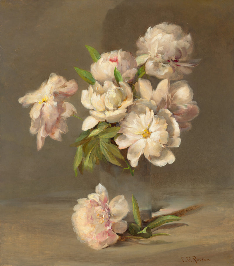 Pivoines dans un vase - Charles Ethan Porter