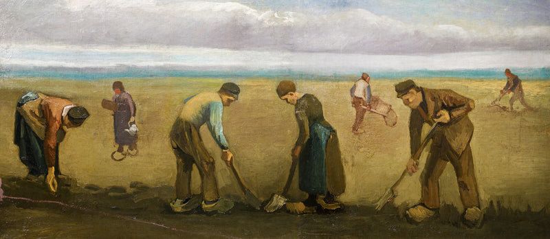 Kartoffelplantage - Vincent van Gogh