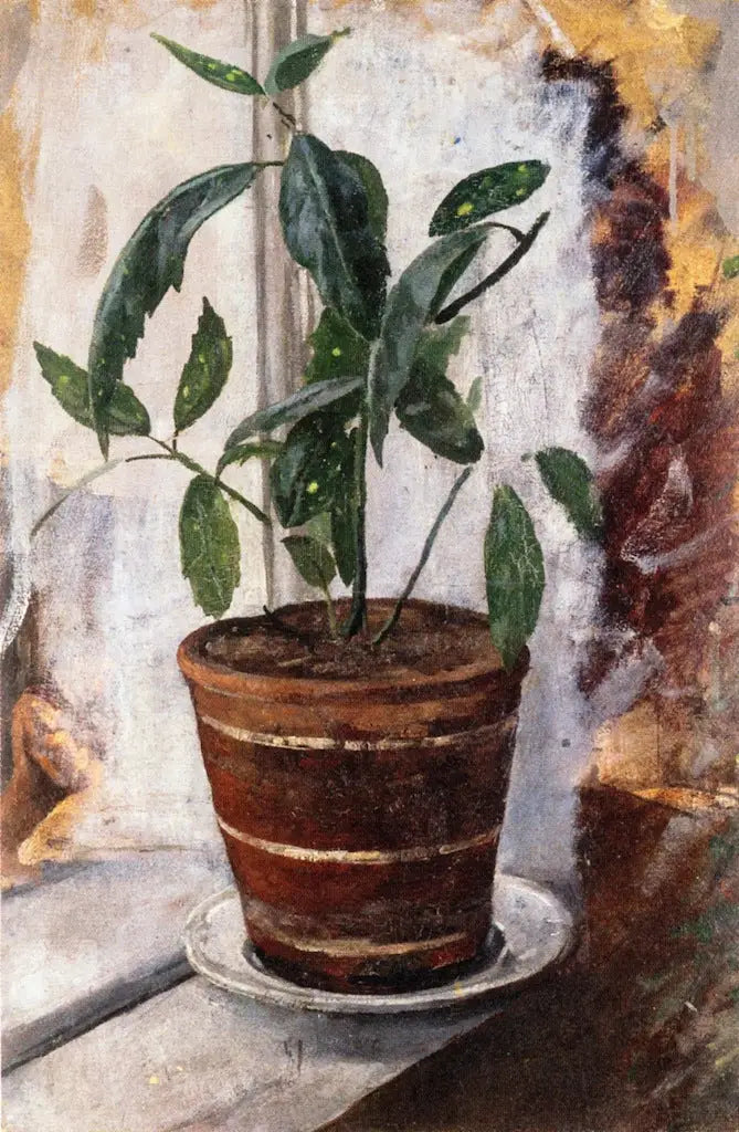 Topfpflanze auf der Fensterbank - Edvard Munch