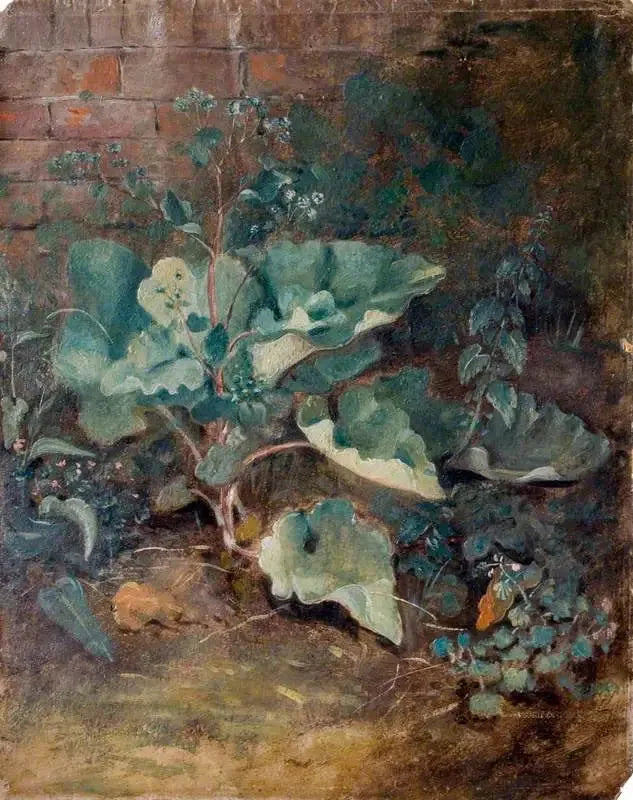 Pflanzen, die in der Nähe einer Mauer wachsen - John Constable