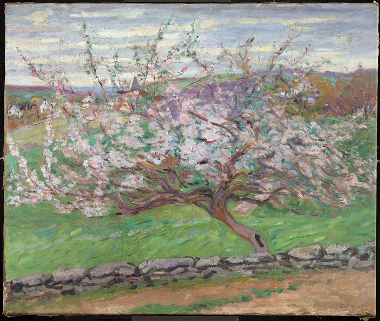 Apfelbäume in Blüte - Armand Guillaumin