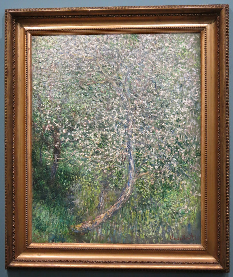 Apfelbaum in Blüte am Wasser W585 - Claude Monet