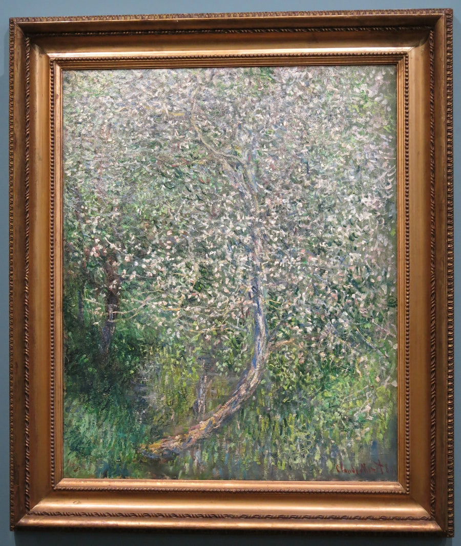Blühende Apfelbäume am Wasser - Claude Monet