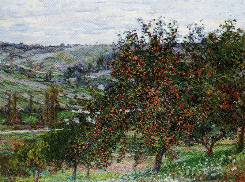 Apfelbäume in der Nähe von Vétheuil W488 - Claude Monet