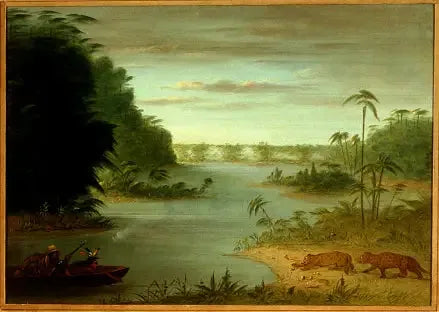 Pont de Palmiers et Tir au Tigre - George Catlin