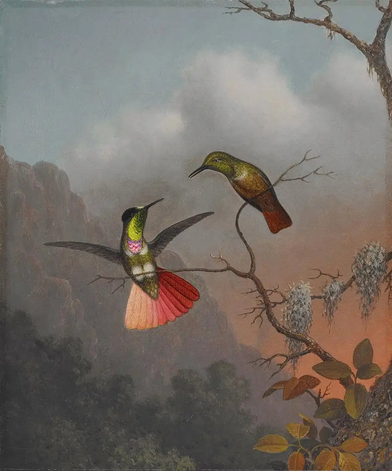 Träger des Kapuzenvisiers - Martin Johnson Heade