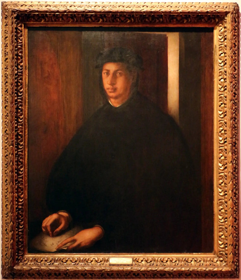 Porträt von Alexandre de Médicis - Pontormo