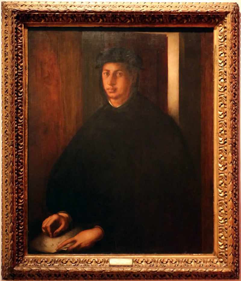 Porträt von Alexandre de Médicis - Pontormo