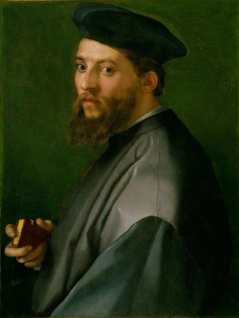 Männerporträt - Andrea del Sarto