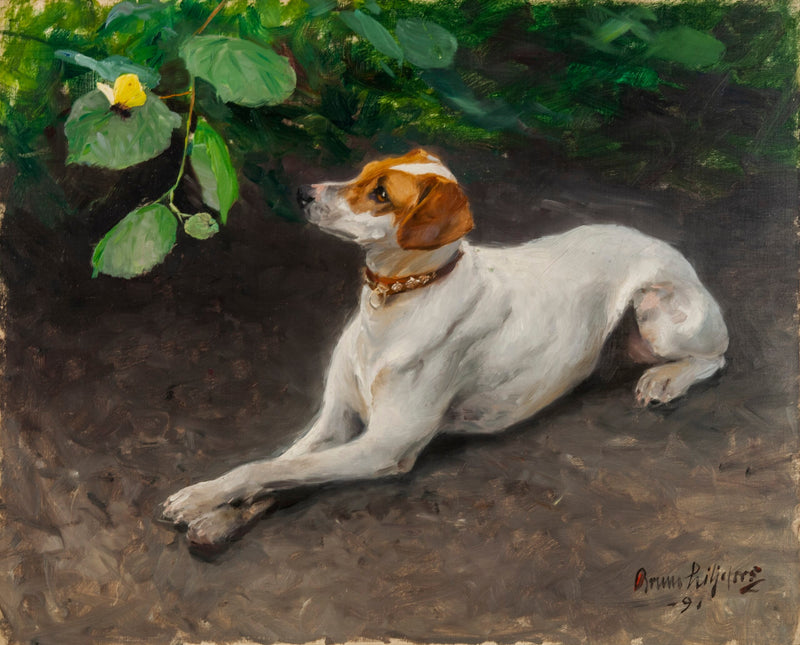 Porträt eines Hundes - Bruno Liljefors