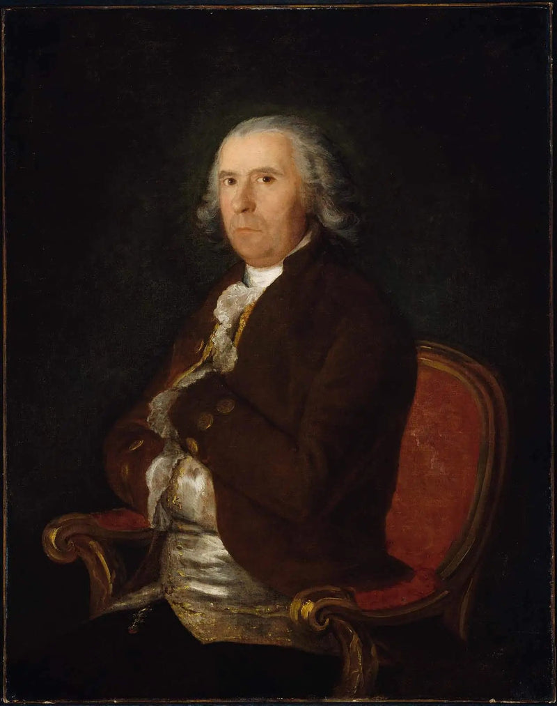 Porträt eines Mannes in braunem Mantel - Francisco de Goya