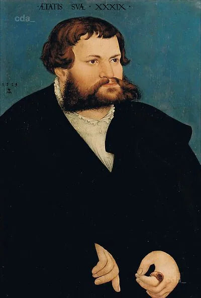 Porträt eines Mannes - Lucas Cranach der Ältere