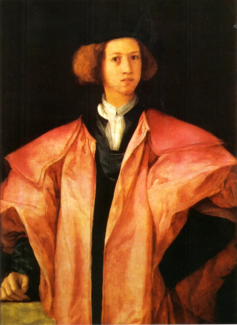 Porträt eines jungen Mannes - Pontormo