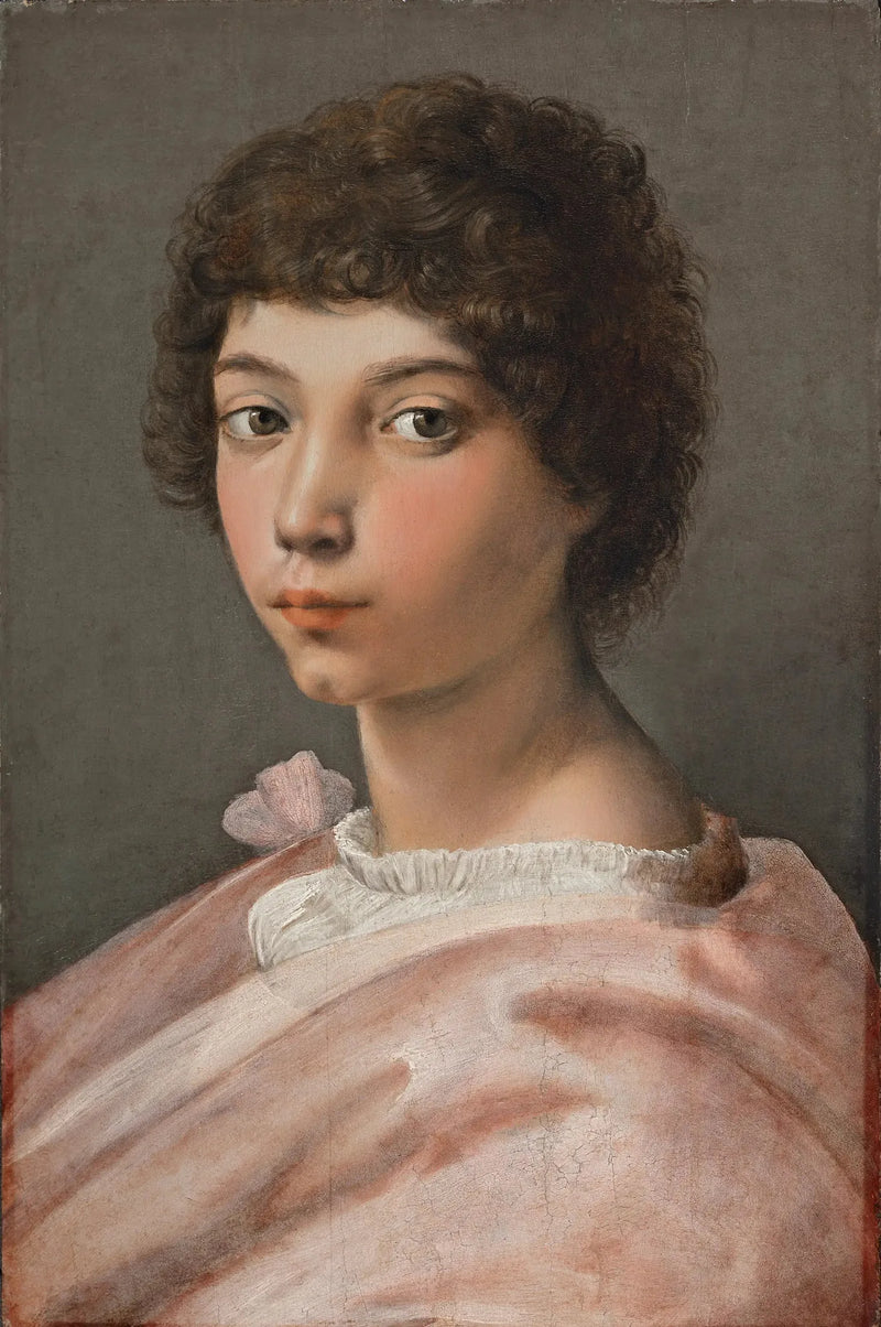 Porträt eines jungen Mannes - Raphael Sanzio