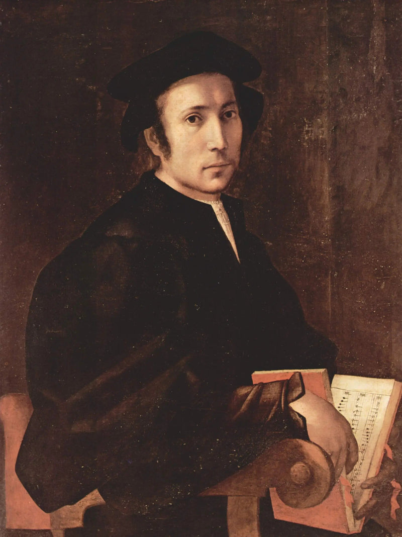 Portrait eines Musikers - Pontormo