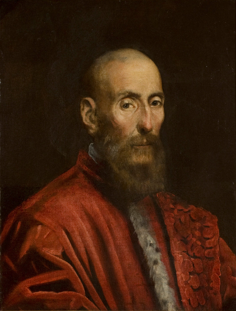 Porträt eines Senators - Jacopo Tintoretto