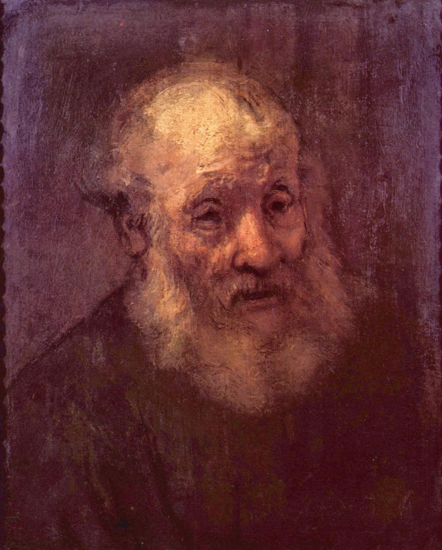 Porträt eines alten bärtigen Mannes - Rembrandt