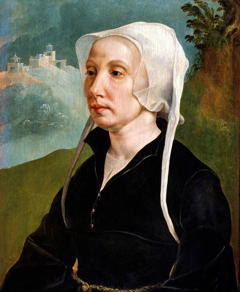 Portrait d'une femme - Maarten van Heemskerck