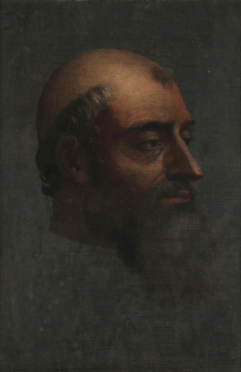 Porträt von Clemens VII mit Bart - Sebastiano del Piombo