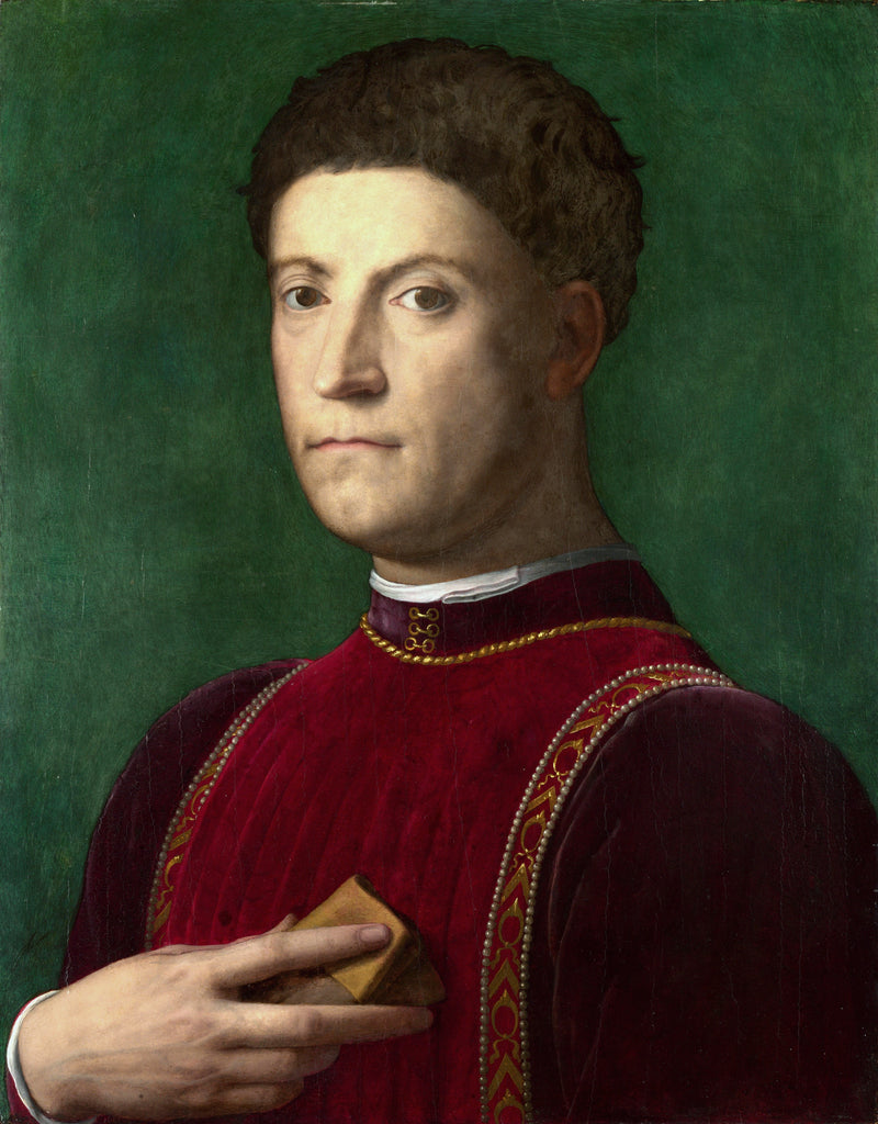 Porträt von Piero de' Medici - Bronzino