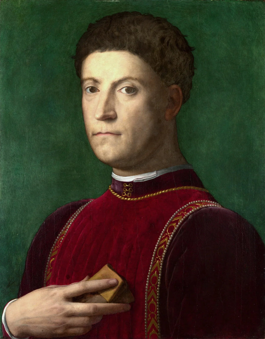 Porträt von Piero de' Medici - Bronzino