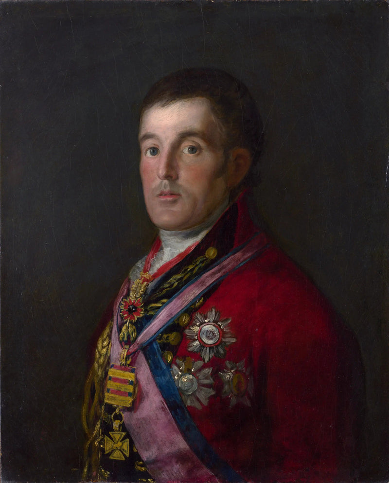Porträt des Herzogs von Wellington - Francisco de Goya